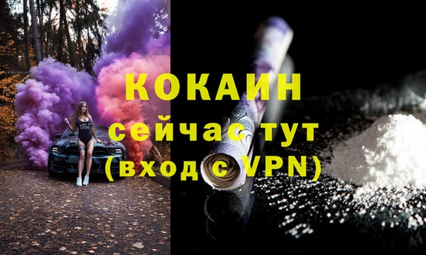 амф Верхний Тагил